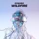 Dynoro - Wildfire