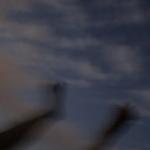 album image Однажды Однажды - Single