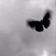 The Neighbourhood - Daddy Issues Speed Up