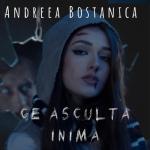 album image Ce Asculta Inima Ce Asculta Inima - Single