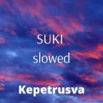 album image TOKYO DRIFT X TAKKO - SUKI (slowed+reverb)