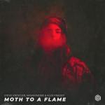 album image Moth To A Flame Moth To a Flame - Single