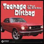 album image Teenage Dirtbag (feat. Bertie Scott) Dirtbass (feat. Bertie Scott) - Single