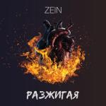 album image Разжигая Разжигая - Single
