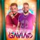 Forró du Gavião - Malvadão 3