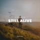 Cajoco - Still Alive