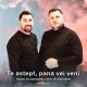 Elvis din Barbulesti feat. Robert Din Barbulesti - Te astept, pana vei veni
