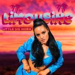album image Limousine Limousine - Single