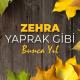 Zehra - Yaprak Gibi - Bunca Yıl