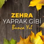 album image Yaprak Gibi - Bunca Yıl Yaprak Gibi: Bunca Yıl - Single