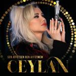 album image Sen Affetsen Ben Affetmem Sen Affetsen Ben Affetmem - Single