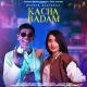 Bhuban Badyakar, Amit Dhull feat. Nisha Bhatt - Kacha Badam
