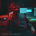 album image BakaBaka BakaBaka - Single