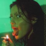 album image THE SNAKE THE SNAKE - Single