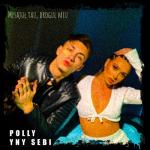 album image Mesajul Tau, Drogul Meu Mesajul Tau, Drogul Meu - Single