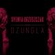 Sylwia Grzeszczak - Dżungla