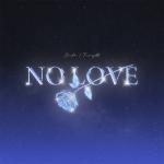 album image No Love No Love - Single