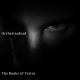 Your Story Interactive - Dracula Love Story - Disturbance