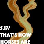 album image 5.17 5.17 / That's How Horses Are - Single