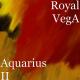Thorn - Aricqua