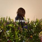album image The Field The Field