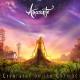 Amarante - Dreamer