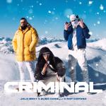 album image Criminal Criminal - Single