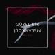 хз - немецкий медляк (селиктум майн лаве)