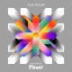 THE ROOP - Love Is All We Got