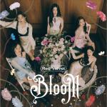 album image Marionette Bloom