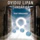 Ovidiu Lipan Tandarica - Doina sfaramata