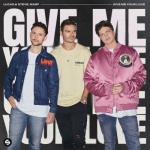album image Give Me Your Love (Extended Mix) Give Me Your Love - Single