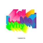 album image Tell Me Why (DJ Brooklyn Edit) Tell Me Why - Single