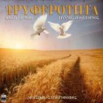 album image Tryferotita Tryferotita - Single