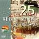 The Irish Rebels - Foggy Dew