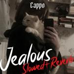album image Jealous (nightcore)