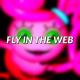 ChewieCatt - Fly in the Web