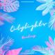 Roudeep - Citylights [EXCLUSIVE]