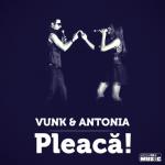 album image Pleacă Pleacă - Single