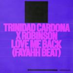 album image trinidad Love Me Back (Fayahh Beat) - Single
