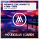 Pittarius Code - Konnekted & Tara Louise - Unbreakable [Molekular Sounds] Extended