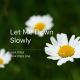 Swattrex, Swattrex One - Let Me Down Slowly