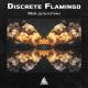 Discrete Flamingo - Мой дельтоплан