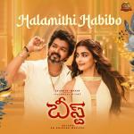 album image Arabic Kuthu Halamithi Habibo (From