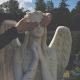 Chillos - Angel Baby