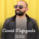Cavid Tagizade - Divane 2022 (Gusar 38)