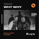 album image Why Why Why (feat. HVME & Gaudini) Why Why Why - Single