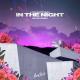 Lucas Estrada [drivemusic.me] - In The Night (Sevek Remix)
