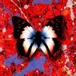 album image 2step 2step (The Remixes)