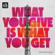 Brennan Heart feat Clockartz - What you give is what you get (Extended mix)